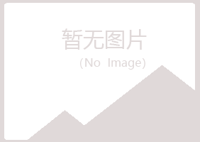 大渡口区冰夏采矿有限公司